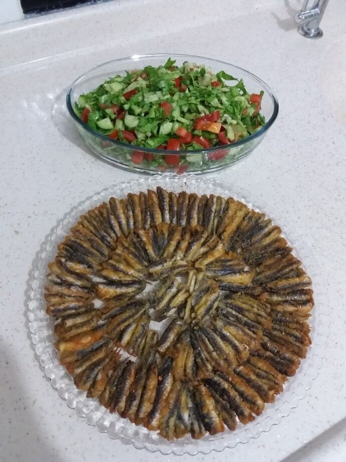 Sizin evde balık pişer mi?