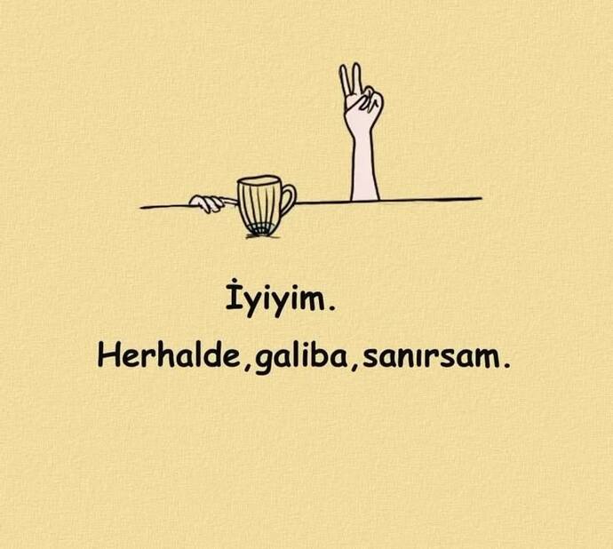Hiç mutluluktan ağladınız mı ya da çok sinirliyken güldünüz mü? Anlatın yahu işte bir şeyler 😬😬 En sevdiğiniz renk ne mesela🥳?