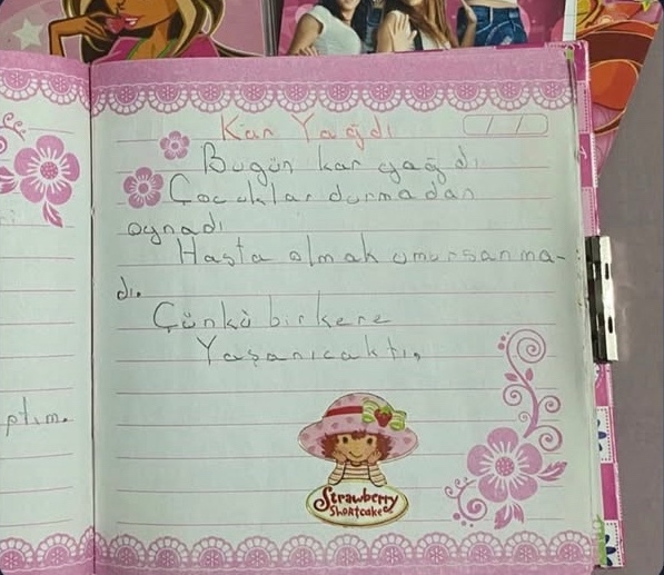 Hiç günlüğünüz oldu mu?