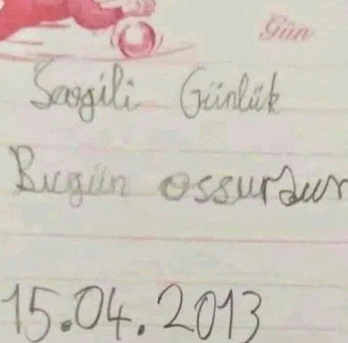Hiç günlüğünüz oldu mu?
