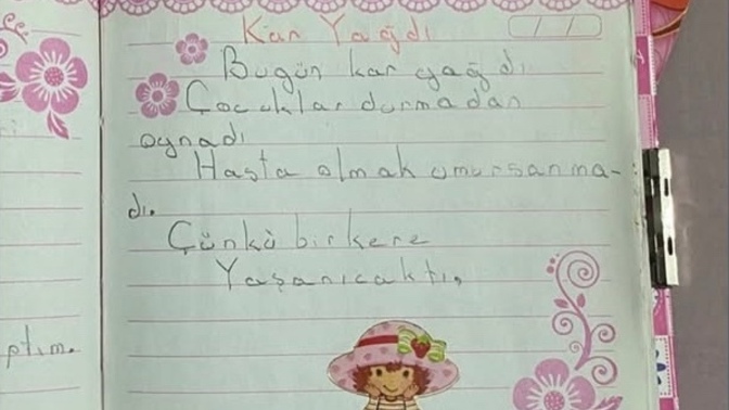 Hiç günlüğünüz oldu mu?