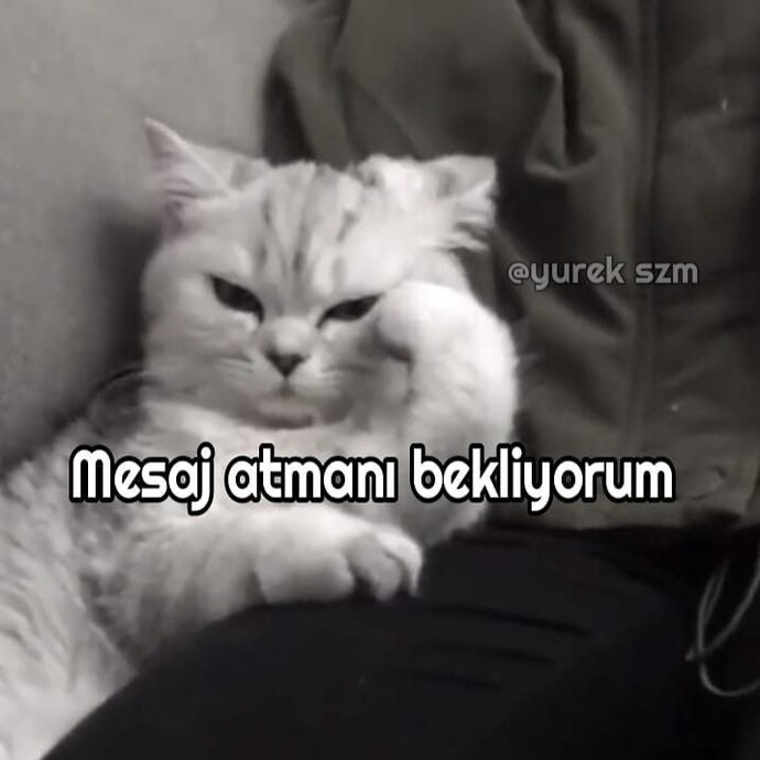 Mesaj atmasını beklediğiniz biri var mı?