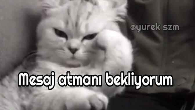 Mesaj atmasını beklediğiniz biri var mı?