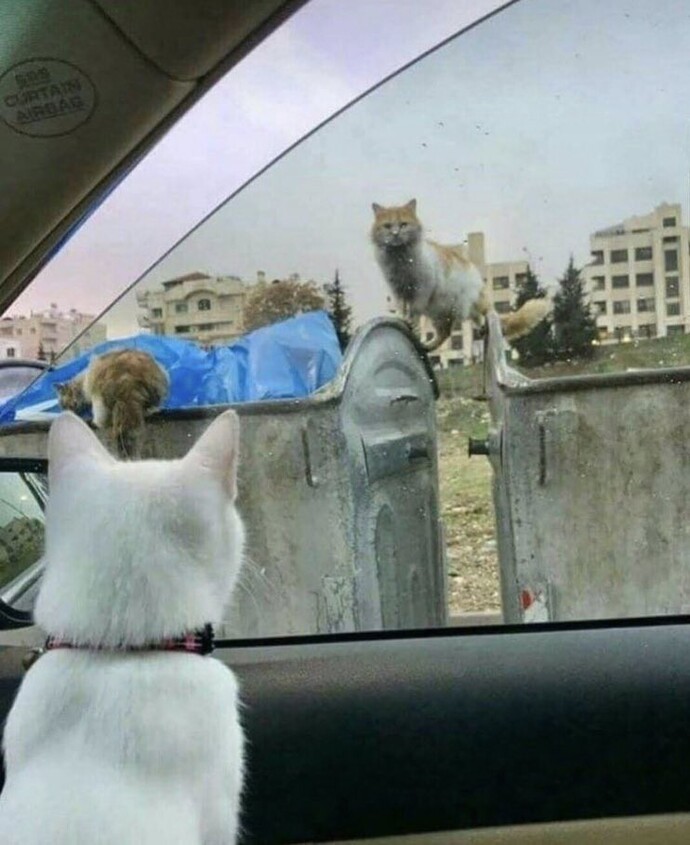 Sizce Başarı için sabır ve azim yeterli mi?