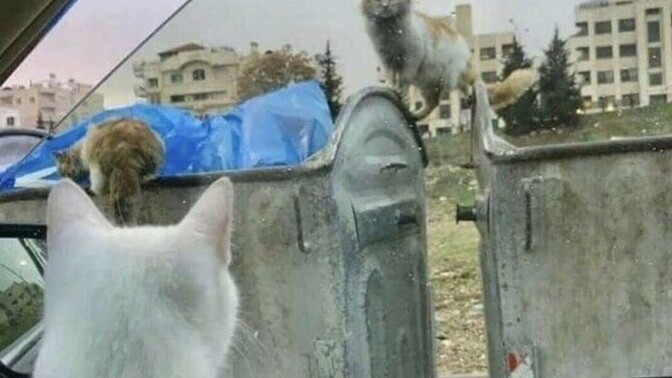Sizce Başarı için sabır ve azim yeterli mi?