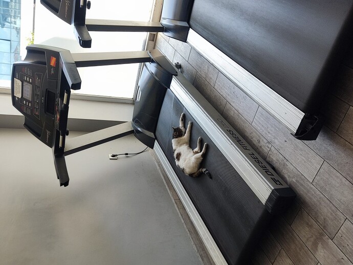 Spor salonunda çapkınlık için gelen kadınlar ve erkekler can sıkıcı değil mi?