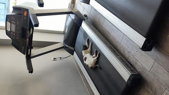 Spor salonunda çapkınlık için gelen kadınlar ve erkekler can sıkıcı değil mi?