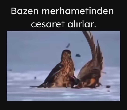Sizin de merhametinizden cesaret alanlar oluyor mu?