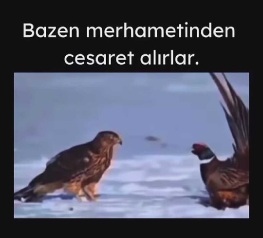 Sizin de merhametinizden cesaret alanlar oluyor mu?