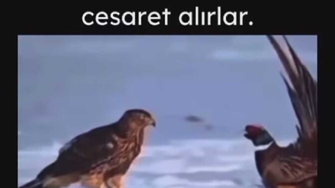 Sizin de merhametinizden cesaret alanlar oluyor mu?