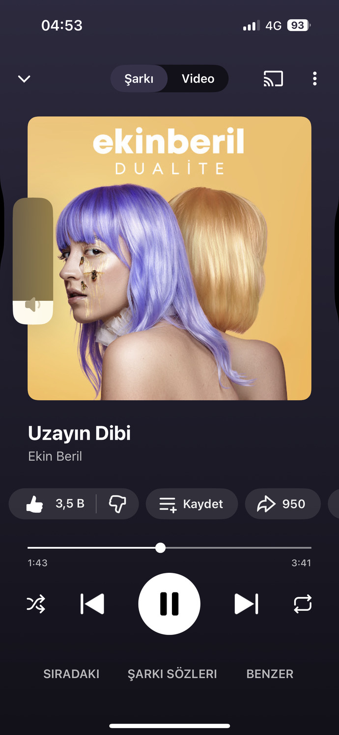 Keşfettiğiniz yeni şarkı hangisi?