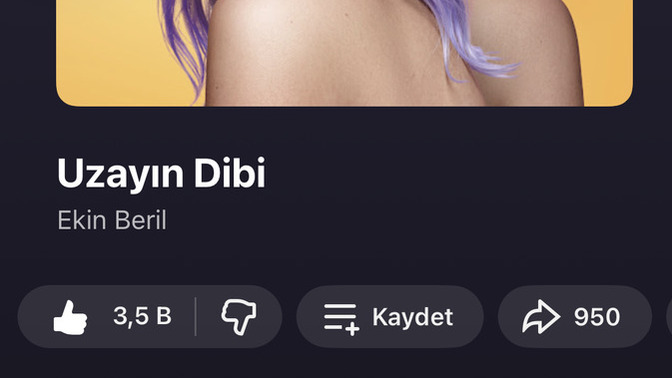 Keşfettiğiniz yeni şarkı hangisi?