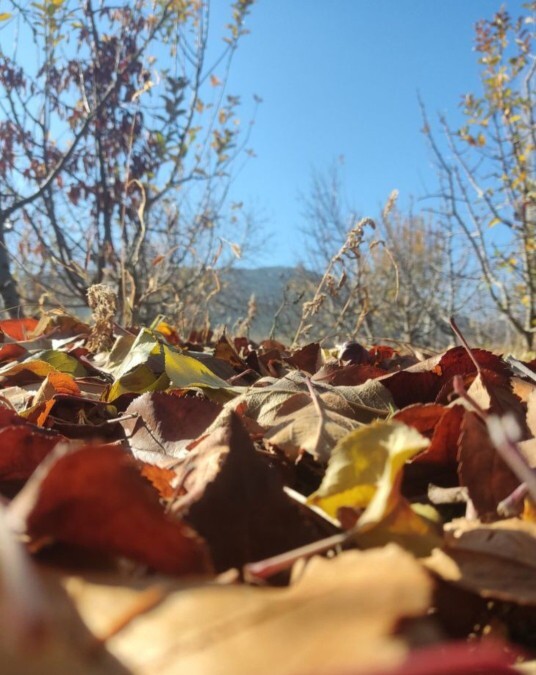 Günaydın pazar günü planınız nedir?