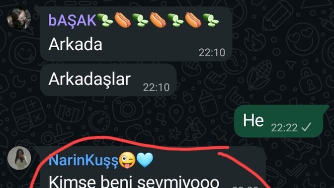 Siz böyle bir şey yapar mısınız?
