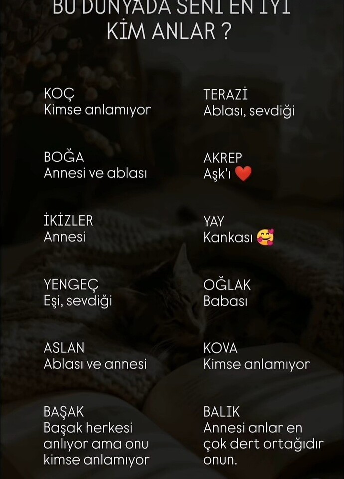 Seni en iyi kim anlar?