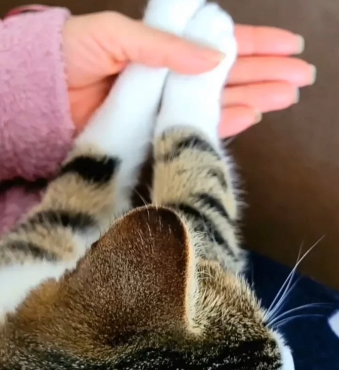 Tırnaklarınızın kırılmaması için ne edip kullanıyorsunuz?