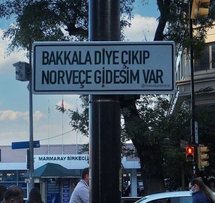 Nerelere gidesiniz var?