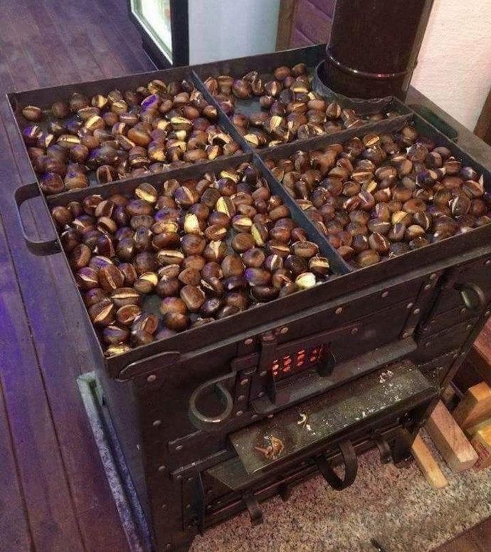 Kestane sever misin? 🌰?