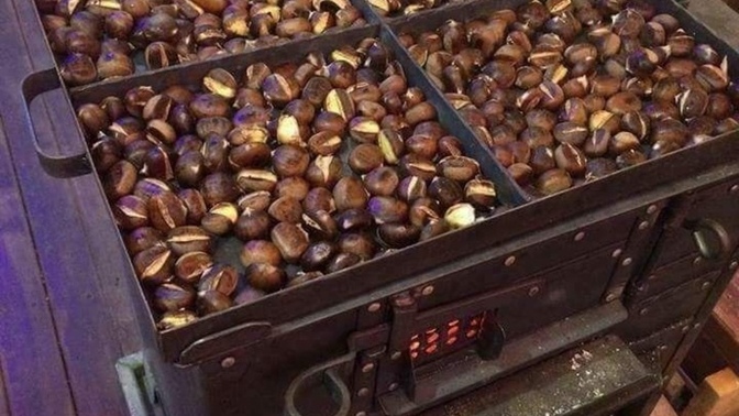 Kestane sever misin? 🌰?
