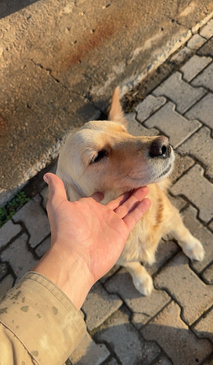 Günaydın güne enerjik bir başlangıç için ihtiyacınız olan şey ne?