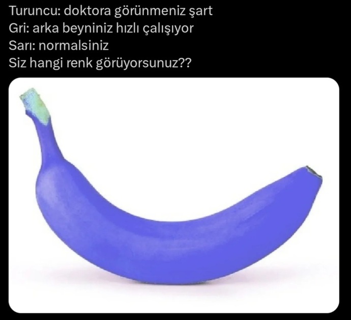 Siz hangi renk görüyor sunuz?