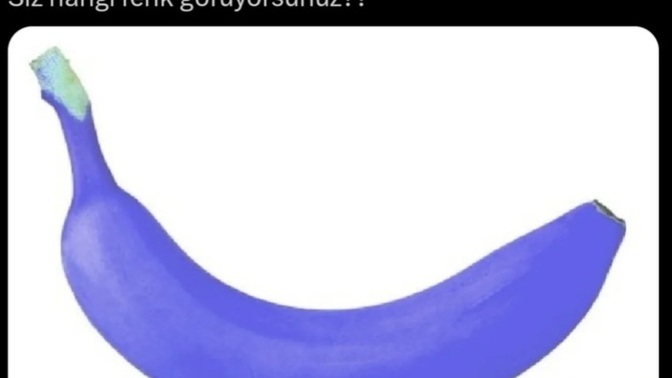 Siz hangi renk görüyor sunuz?