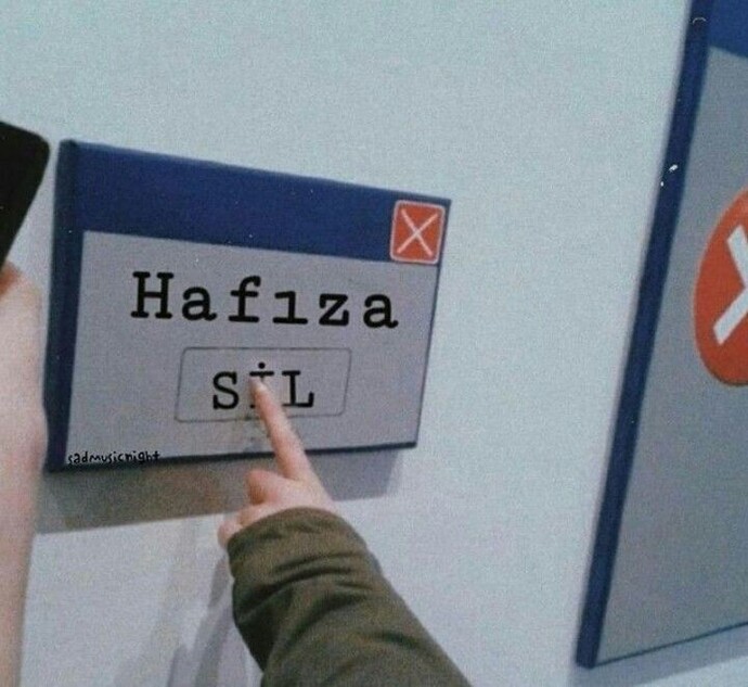 Hafızanızı silmek ister miydiniz?