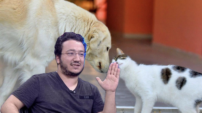 Dr. Oytun Erbaş, gıda zehirlenmelerinin sebebinin sokak hayvanları olduğunu iddia etti. Sizce öyle mi?