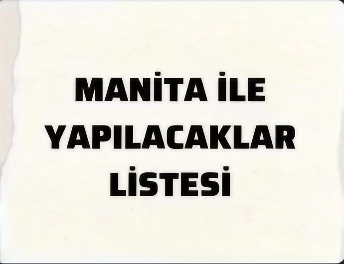 Manita ile yapılacaklar listesinizin ilk sırasında ne var?