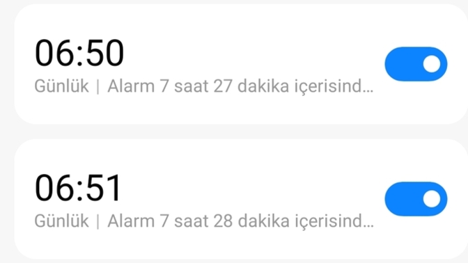 Alamlar kaça kurulu?