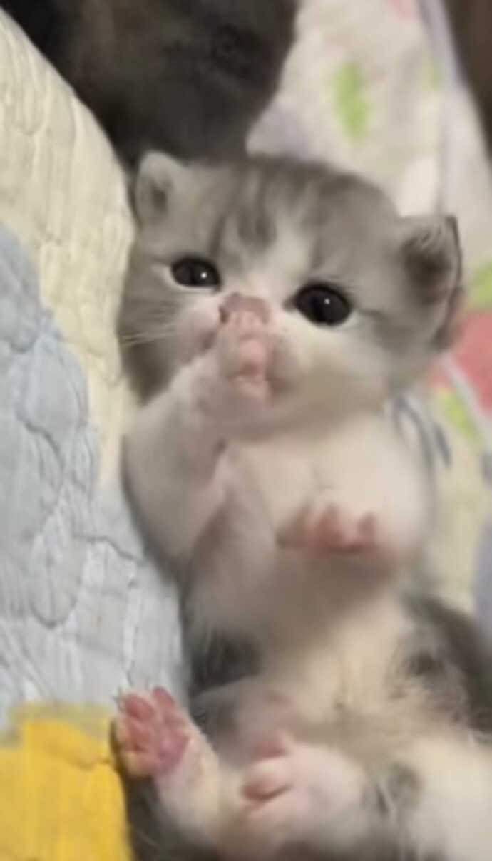 Bunları görünce Acıkiyorum?