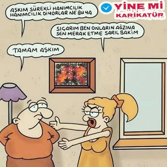 Kadın yemek yapar erkek tamir mi yoksa asıl tamir edilmesi gereken bu cümle mi?