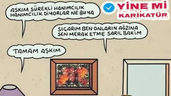 Kadın yemek yapar erkek tamir mi yoksa asıl tamir edilmesi gereken bu cümle mi?