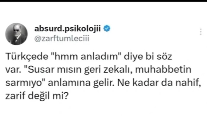 Sohbetten sıkıldığınızda hangi kelimelerle bunu belli edersiniz?