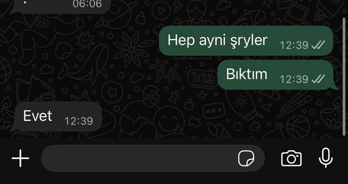Eski sevgilimle buluştuk ve bu mesajlardan sonra engelledi sizce neden?