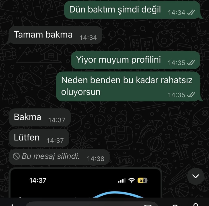 Eski sevgilimle buluştuk ve bu mesajlardan sonra engelledi sizce neden?