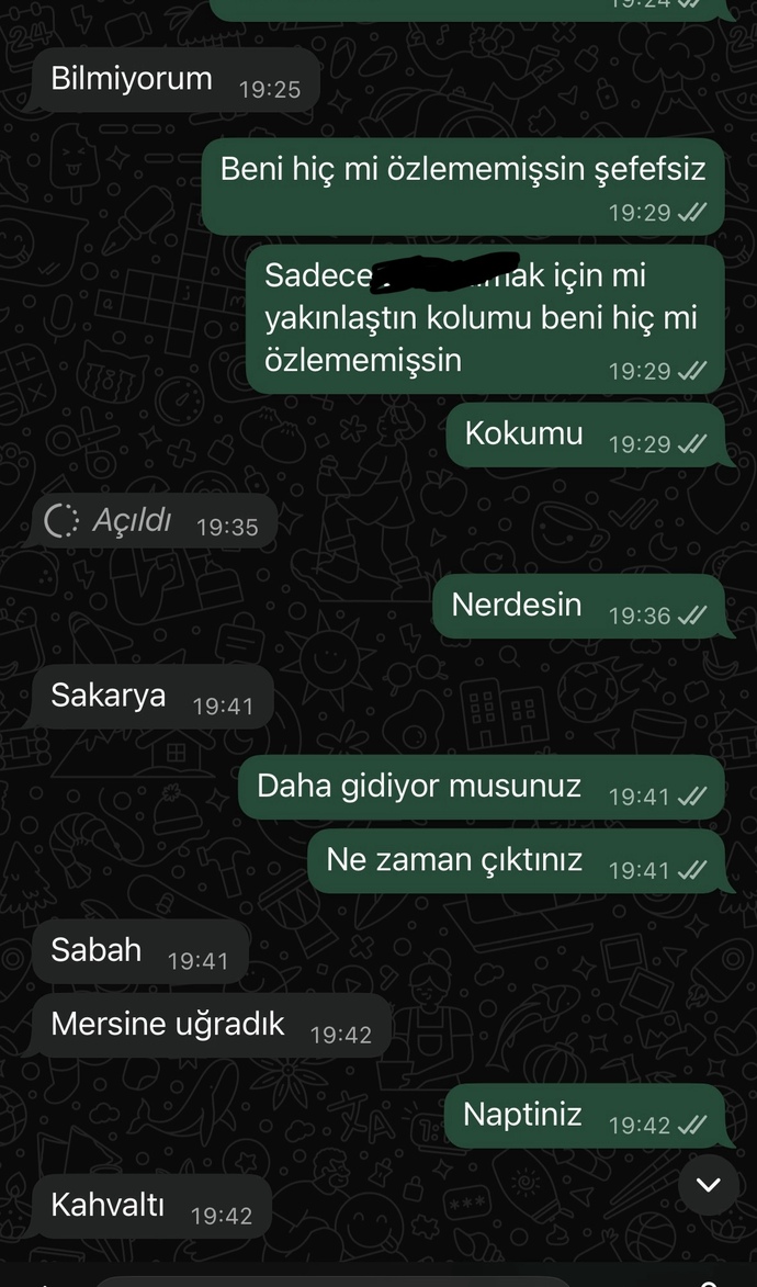 Eski sevgilimle buluştuk ve bu mesajlardan sonra engelledi sizce neden?