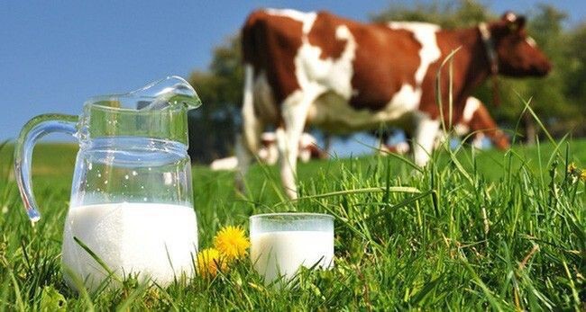 Hepimiz süt içtiğimize göre, bizim de bir inek süt annemiz olmuş mudur sizce?