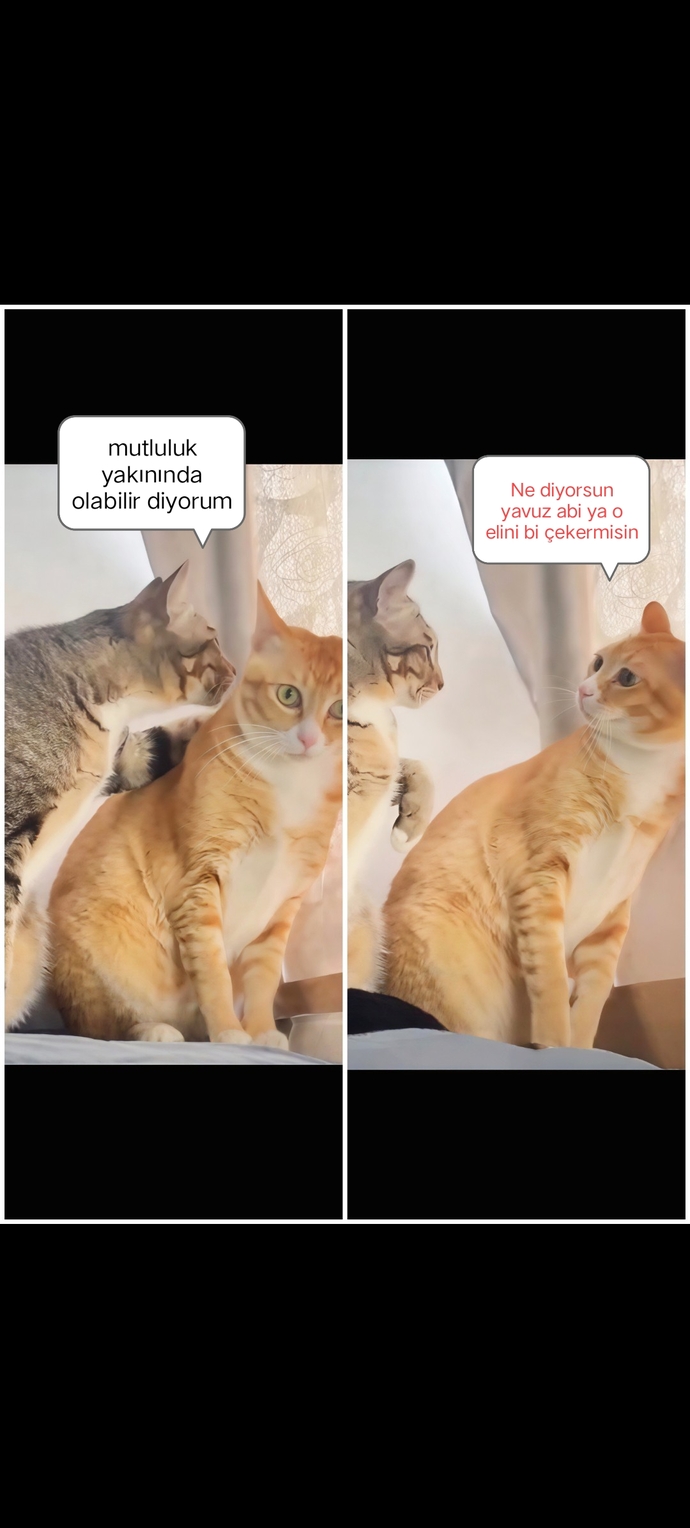 En son/çok şaşırdığınız şey neydi?