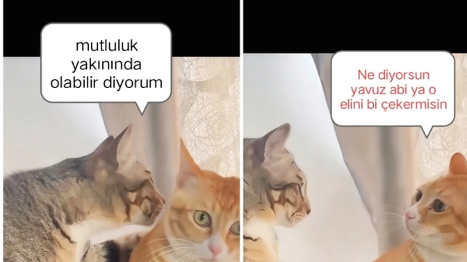 En son/çok şaşırdığınız şey neydi?