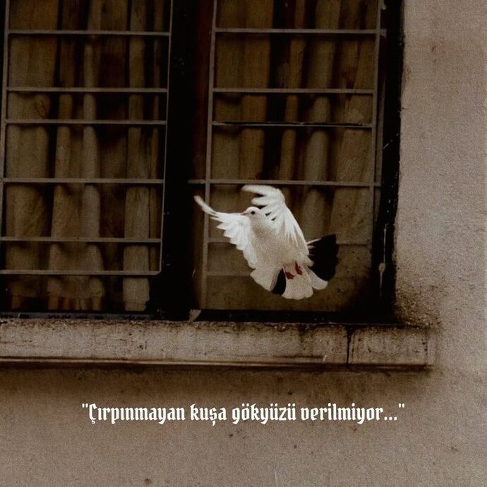 Evde oturmaktan sıkılıyor musunuz?