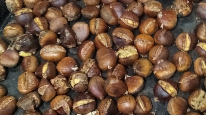 Kestane severmisiniz?