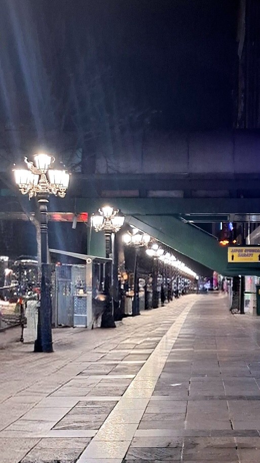 Gece yalnız dışarı çıkar mısın?