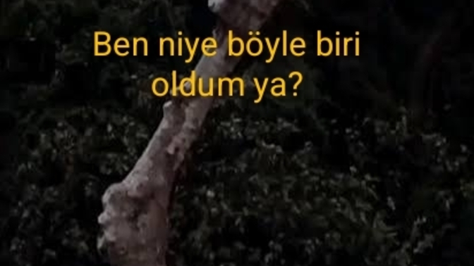 Kendi kendini sorguluyormusun?