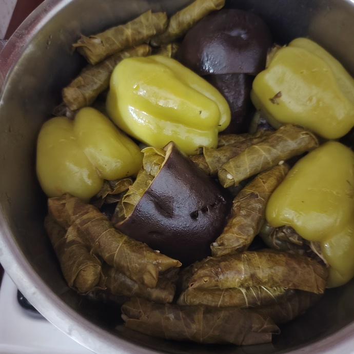 Sizce dolmam nasıl olmuş? ?