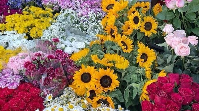 Aşkolar sizce en sevdiğim çiçek nedir?