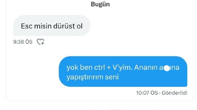 İnsanlara küfür edemediginizde ne diyorsunuz?