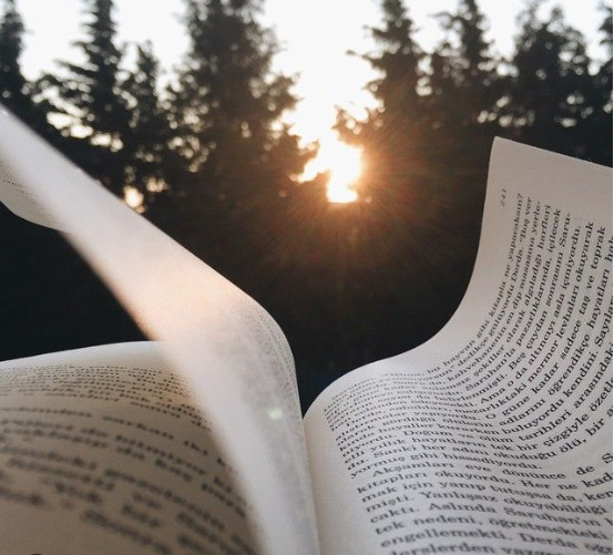 Bana bir kitap önerir misin?