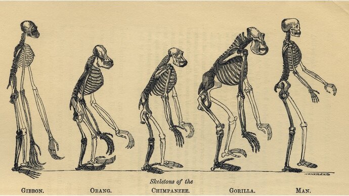 Evrim teorisi 🧬🔬 sizce doğru mu?