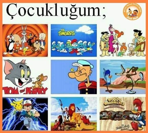 Görselde ki çizgi filmlerin hepsini izlediniz mi?